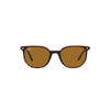 Rayban Elliot Havana W/ Brown-Ac