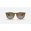 Rayban Erika Light Havana W/Brown Gradient Polar -Pt