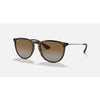 Rayban Erika Light Havana W/Brown Gradient Polar -Pt
