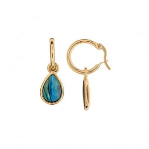 ARIKI PAUA EARRING GOLD PLATED